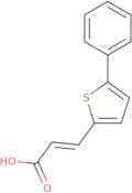 (E)-3-(5-Phenylthiophen-2-yl)acrylic acid