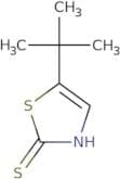 5-tert-Butyl-1,3-thiazole-2-thiol