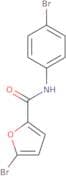 5-Bromo-N-(4-bromophenyl)furan-2-carboxamide