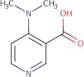 4-(Dimethylamino)nicotinic acid
