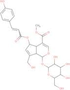 (E)-6-o-(p-Coumaroyl)scandoside methyl ester
