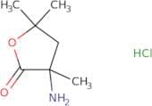 3-Amino-3,5,5-trimethyloxolan-2-one hydrochloride
