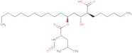 (2S,3R,5S)-5-[(N-Formyl-L-leucyl)oxy]-2-hexyl-3-hydroxyhexadecanoic acid