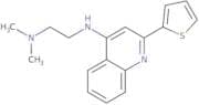 N1,N1-Dimethyl-N2-[2-(2-thienyl)-4-quinolinyl]-1,2-ethanediamine