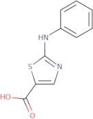 2-(Phenylamino)-1,3-thiazole-5-carboxylic acid