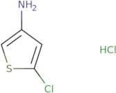 3-Amino-5-chlorothiophene hydrochloride