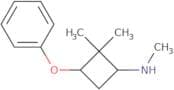 N,2,2-Trimethyl-3-phenoxycyclobutan-1-amine