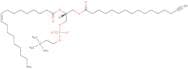 16:0(Alkyne)-18:1 pc