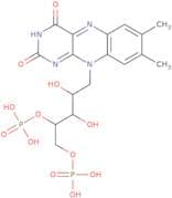 Riboflavin 4',5'-diphosphate