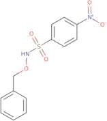N-(Benzyloxy)-4-nitrobenzene-1-sulfonamide