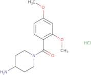 1-(2,4-Dimethoxybenzoyl)piperidin-4-amine hydrochloride