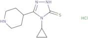 4-Cyclopropyl-5-(piperidin-4-yl)-4H-1,2,4-triazole-3-thiol hydrochloride