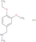 [(4-Ethoxy-3-methoxyphenyl)methyl](methyl)amine hydrochloride