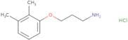 1-(3-Aminopropoxy)-2,3-dimethylbenzene hydrochloride