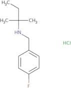 [(4-Fluorophenyl)methyl](2-methylbutan-2-yl)amine hydrochloride