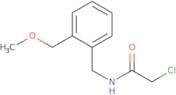 2-Chloro-N-{[2-(methoxymethyl)phenyl]methyl}acetamide