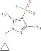 1-(Cyclopropylmethyl)-3,5-dimethyl-1H-pyrazole-4-sulfonyl chloride