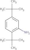 2,5-Di-tert-butylaniline