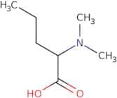 2-(Dimethylamino)pentanoic acid