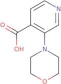 3-(Morpholin-4-yl)pyridine-4-carboxylic acid