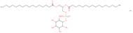 Phosphatidylinositol, 1,2-dipalmitoyl ammonium