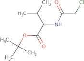 tert-Butyl (2S)-2-(2-chloroacetamido)-3-methylbutanoate
