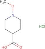 1-Methoxypiperidine-4-carboxylic acid hydrochloride