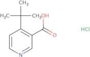 4-tert-Butylpyridine-3-carboxylic acid hydrochloride