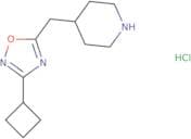 4-[(3-Cyclobutyl-1,2,4-oxadiazol-5-yl)methyl]piperidine hydrochloride