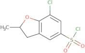 7-Chloro-2-methyl-2,3-dihydro-1-benzofuran-5-sulfonyl chloride