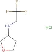 N-(2,2,2-Trifluoroethyl)oxolan-3-amine hydrochloride