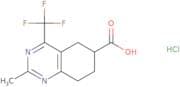 2-Methyl-4-(trifluoromethyl)-5,6,7,8-tetrahydroquinazoline-6-carboxylic acid hydrochloride
