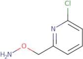O-[(6-chloropyridin-2-yl)methyl]hydroxylamine