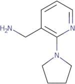 (2-Pyrrolidin-1-ylpyrid-3-yl)methylamine