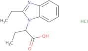 2-(2-Ethyl-1H-benzimidazol-1-yl)butanoic acid hydrochloride
