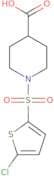 1-[(5-Chlorothien-2-yl)sulfonyl]piperidine-4-carboxylic acid