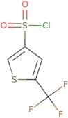5-(Trifluoromethyl)thiophene-3-sulfonyl chloride