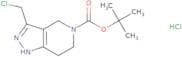 tert-Butyl 3-(chloromethyl)-1H,4H,5H,6H,7H-pyrazolo[4,3-c]pyridine-5-carboxylate hydrochloride