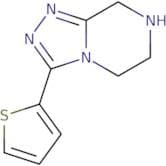 3-(Thiophen-2-yl)-5H,6H,7H,8H-[1,2,4]triazolo[4,3-a]pyrazine