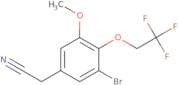 2-[3-Bromo-5-methoxy-4-(2,2,2-trifluoroethoxy)phenyl]acetonitrile