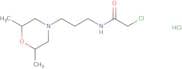 2-Chloro-N-[3-(2,6-dimethylmorpholin-4-yl)propyl]acetamide hydrochloride