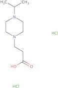 3-[4-(Propan-2-yl)piperazin-1-yl]propanoic acid dihydrochloride