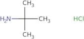 2-Amino-2-methylpropane hydrochloride
