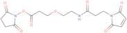 Mal-amido-PEG1-C2-​NHS ester