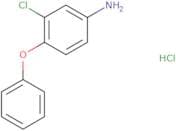 3-Chloro-4-phenoxyaniline hydrochloride