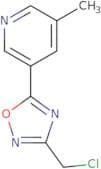3-[3-(Chloromethyl)-1,2,4-oxadiazol-5-yl]-5-methylpyridine