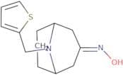 N-{9-[(Thiophen-2-yl)methyl]-9-azabicyclo[3.3.1]nonan-3-ylidene}hydroxylamine