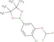2-(4-Chloro-3-difluoromethoxyphenyl)-4,4,5,5-tetramethyl-1,3,2-dioxaborolane