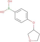 [4-(Oxolan-3-yloxy)phenyl]boronic acid