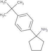 1-(4-tert-Butylphenyl)cyclopentan-1-amine